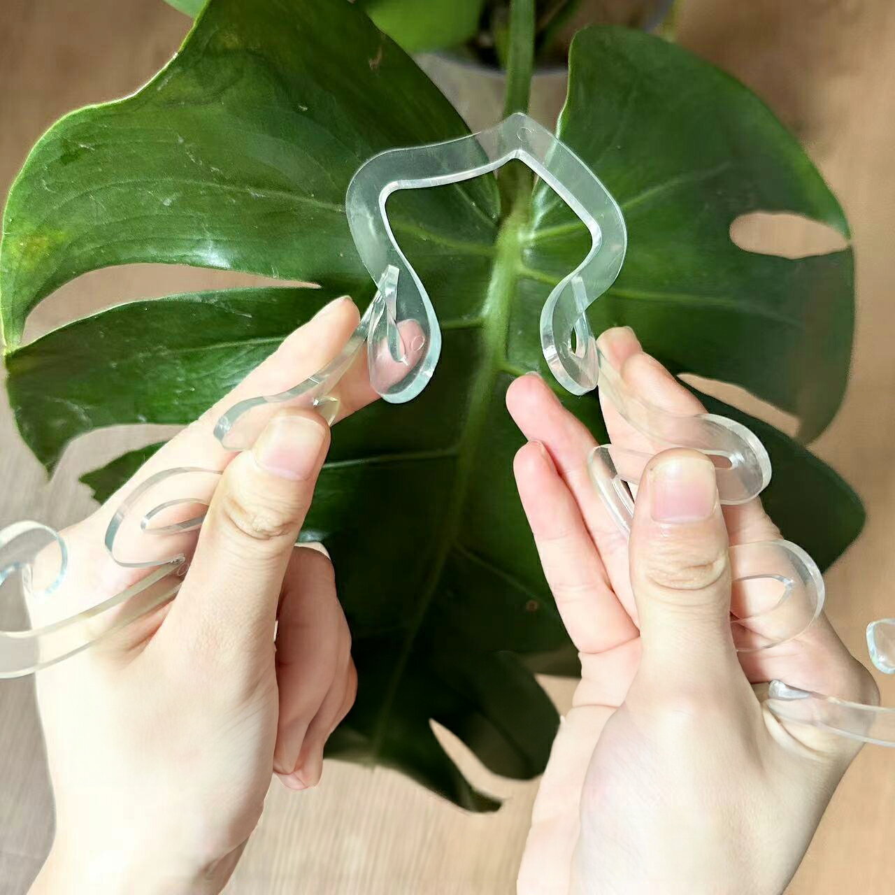 送料無料 トレリス 植物支柱 園芸支柱 つる性植物用 単品 1個 植物 花 園芸 ガーデ...