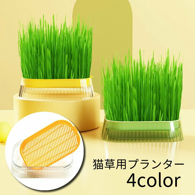 送料無料 猫草用プランター 水耕栽培 ペット用品 猫 屋内用 室内 栽培 猫草 葉っぱ 毛玉対策 胃腸 スト..