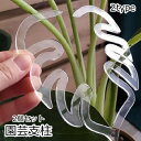 送料無料 園芸支柱 2個セット 花茎 支え フラワースタンド ガーデニング アロカシア クワズイモ 観葉植物 花 フラワー 植木鉢 プランター 誘引 サポート ささえ 固定 転倒予防 簡単設置 透明 クリア