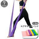 送料無料 エクササイズバンド 1.5m トレーニングチューブ ゴムバンド フィットネス トレーニング ストレッチ 筋トレ 伸ばす ピラティス ヨガ エクササイズグッズ チューブ バンド 運動不足解消 自宅 多用途 多機能 便利