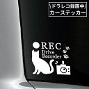 送料無料 カーステッカー 車用 デカール シール 猫 ネコ REC ドラレコ 記録中 録画中 危険運転 妨害運転 煽り運転 追突防止 防犯 ドライブレコーダー
