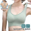 送料無料 スポーツブラ レディース 女性用 スポーツウェア インナー トレーニング ジム ジョギング フィットネス 4段ホック 無地 おしゃれ