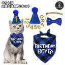 送料無料 誕生日お祝いセット ペット用 バースデー 犬用 猫用 3点セット とんがり帽子 蝶ネクタイ バンダナスタイ ぼうし スパンコール キラキラ おしゃれ ...