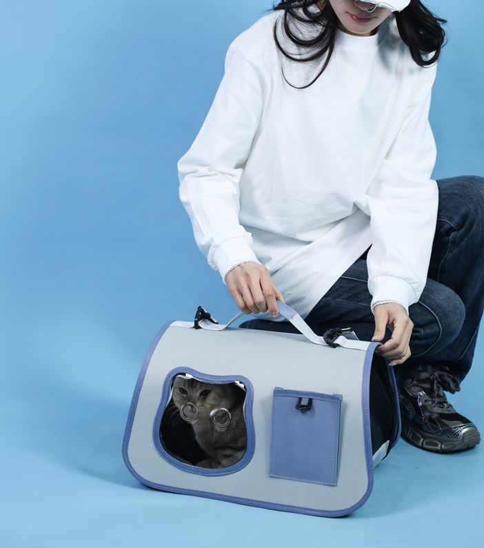 ����̵�� �ڥåȥ���꡼�Хå� ǭ ������ ���������Хå� 2WAY �ޤꤿ���� ��å����� �̵��� ������ ���� ι�� �̱� ���Ф���