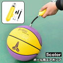 送料無料 エアポンプ 空気入れ ボール用 手動 ハンドポンプ 小型 ダブルアクション 持ち運び コンパクト ポータブル サッカーボール バレーボール バスケット