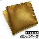 送料無料 ポケットチーフ ハンカチ シルク風 ハンカチーフ メンズ 男性 紳士 ファッション小物 無地 単色 シンプル フォーマル ビジネス イベント 結婚式 ...