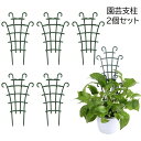 送料無料 園芸支柱 花支柱 2個セット 花支え 花ささえ サポート 植木鉢 観葉植物 つる ツル 連結可能 簡単取り付け シンプル 便利 園芸用品