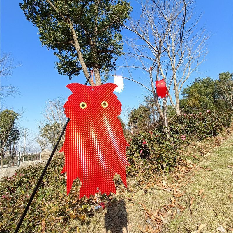 ����̵�� Ļ�褱 ȿ�� ���饹 ȷ�褱 ��Ļ�к� Ļ���ɤ� ñ�� �����ǥ˥� �����ڱ� �ե��к� �ե������������ ������ �ߤ겼�� �ϥ󥮥� ��Ļ�к� ȿ�� ���� ̵�� �ҳ� Ļ�褱 �ϥ� ������ �� �٥���