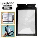 送料無料 シートルーペ ルーペ 虫眼鏡 虫めがね A4サイズ 3倍 拡大鏡 軽量 大きい 大きめ 読書 新聞 カード型 薄型 持ち運び