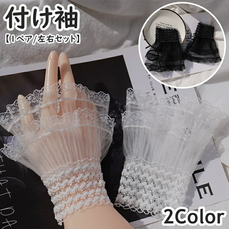 ����̵�� �դ�µ �Ĥ����� 1�ڥ� �������å� ��ǥ����� ���� �ؿ� µ�� �졼�� �Ť��� �쥤�䡼�� Ʃ���� ��� ���� ���� ������� ���襤�� �İ��� ...