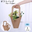 送料無料 ギフトバッグ クラフトバッグ フラワーバッグ 花束 プレゼント ギフト 贈り物 持ち手 紙 ラッピング袋 ギフトラッピング 無地 シンプル おしゃれ