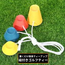 送料無料 ゴルフティー 置くティー 4個組 ゴルフ用品 ひも付き 紐付き ロング ショート 置くだけ 安定 練習 屋内 屋外 冬 初心者