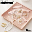 送料無料 アクセサリーケース アクセサリー用パウチ 10枚セット 密封パック 小分け袋 収納 保管 店舗 旅行 出張 持ち運び 透明クリア(4)