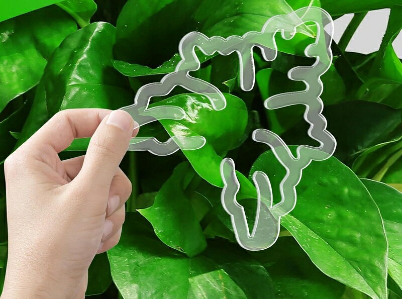 送料無料 園芸用支柱サポートプレート 支柱ホルダー 支柱用部品 つる植物用 支柱固...