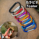 送料無料 カラビナ 単品 1個 キーホルダー Dカン Dリング キーリング フック 吊り下げ ぶら下げ アウトドア 旅行 外出 シンプル