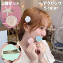 送料無料 ヘアクリップ 2個セット ヘアピン レディース 女性 ヘアアクセサリー くちばしクリップ 髪留め ヘアアレンジ サイド 前髪 おしゃれ カラバリ豊富