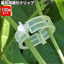 送料無料 園芸用クリップ 誘引クリップ 100個入り 直径3cm ワンタッチクリップ 園芸用品 支柱用部品 支柱用アクセサリー ガーデニング 家庭菜園 農業用 ...