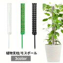 送料無料 植物支柱 モスポール 園芸用品 ガーデニング用品 つる性植物 支え サポート 鉢植え 水分維持 屋内 屋外 シンプル 観葉植物 モンステラ ボトス