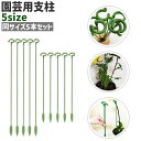 送料無料 園芸用支柱 5本セット 5本入り 植物支柱 観葉支柱 シンプル 園芸 ガーデニング 植物 お花 フラワー 固定 植木鉢 プランター 園芸用品 緑 グリーン 単色