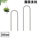 送料無料 園芸支柱 植物支柱 U字 U型 ガーデニング 園芸用品 家庭菜園 育苗資材 花支柱 アーチ支柱 フラワースタンド 観葉植物 鉢植え サポート おしゃれ かわいい モダン