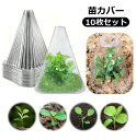 送料無料 苗カバー 保温カバー 10枚セット 育苗器 防霜 防鳥 保温 防寒 苗ドーム 苗ポット 園芸用品 ガーデニング クリア 透明