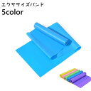 送料無料 エクササイズバンド トレーニングチューブ トレーニングバンド ゴムバンド 筋トレ エクササイズ ピラティス ヨガ 宅トレ バンド ロング ストレッチバンド ダイエット トレーニング