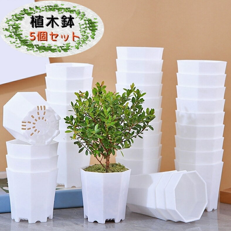樂天商城 - 送料無料 植木鉢 5個セット ミニサイズ フラワーポット 小さめ 水切り穴 軽量 シンプル 観葉植物 多肉植物 園芸用品 ガーデニング 苗 ホワイト