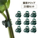 送料無料 植物クリップ 20個入り 誘引クリップ 園芸クリップ くき止め 園芸 植物用 茎 固定 補助具 花 野菜 ワンタッチ 簡単 装着 軽量 誘引具 サポートクリップ 便利アイテム