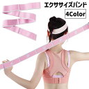 送料無料 エクササイズバンド ストレッチバンド 8段階 トレーニングチューブ ゴムバンド トレーニングベルト ループ 数字付き ヨガバンド フィットネス ダンス 柔軟トレーニング 筋トレ ストレッチ ポージング