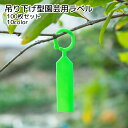 送料無料 園芸ラベル 植物ラベル 100枚セット 園芸用品 吊り下げ 引っ掛け ホワイト グリーン ブルー ピンク カラバリ豊富