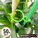 送料無料 園芸用クリップ 誘引クリップ 50個 八の字 ワンタッチ 連結 固定 結束 バンド 支柱 つる 茎 接木 家庭菜園 植物サポート