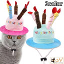 送料無料 ペット用帽子 コスプレ 犬用 猫用 ドッグ キャット 誕生日 バースデー ケーキ お祝い コスチューム あご紐付き 長さ調節可 パーティーグッズ ろうそく ペット用品 ペットグッズ 小型犬 中型犬 文字入り かわいい キュート インスタ映え 誕生会 イベント 記念日 ピン