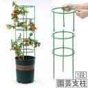 送料無料 園芸支柱 植木鉢用 リング形 円形 1段 1層 組み立て式 観葉植物 花 ガーデニング フラワー 支え サポート フレーム 誘引 サークル ラウンド 簡単 設置