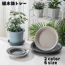 送料無料 植木鉢トレー 鉢皿 受け皿 植木鉢プレート ガーデニング お皿 多肉植物 サボテン プラ鉢 トレイ 丸型 ラウンド型 フラワースタンド 花台 屋内 屋...