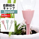 送料無料 自動給水キャップ 自動水やり器 同色6個セット ガーデニング用品 ペットボトル対応 簡単設置 散水器具 給水装置 シンプル 水量調節可能 園芸 盆栽 ...
