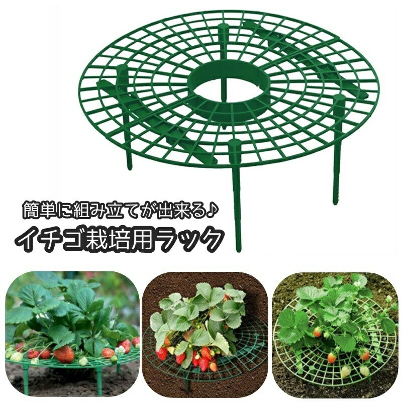 送料無料 イチゴ栽培用ラック いちごスタンド イチゴ支え棚 いちご支柱 ガーデニング 農業 園芸用品 ス..