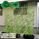 送料無料 園芸ネット つる栽培ネット 幅1.8m×長さ2.7m 10cm角目 野菜誘引 つる性植物 キュウリ ゴーヤ 家庭菜園 緑のカーテン