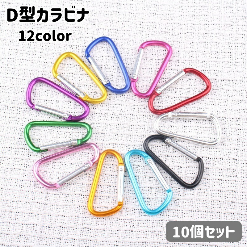 送料無料 カラビナ 10個セット D型 フック バックル キーホルダー 吊り下げ アウトドア 登山 多用途 リュックサック バックパック 小物掛け