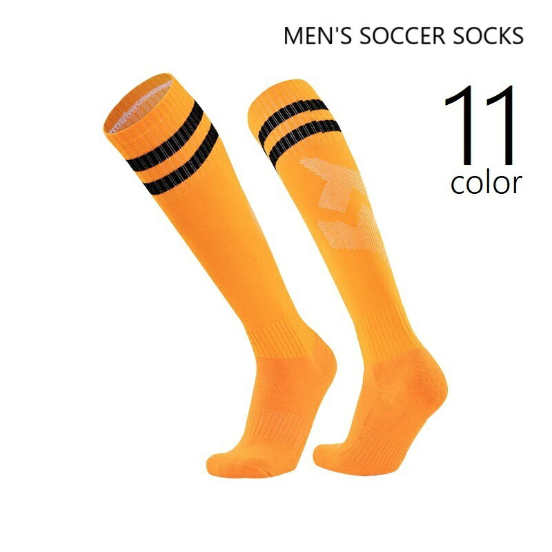 ̵ åå åȥå  ݡĥå ݡķ   ǥ ˽ ϥå 󥰾 饤 ư...