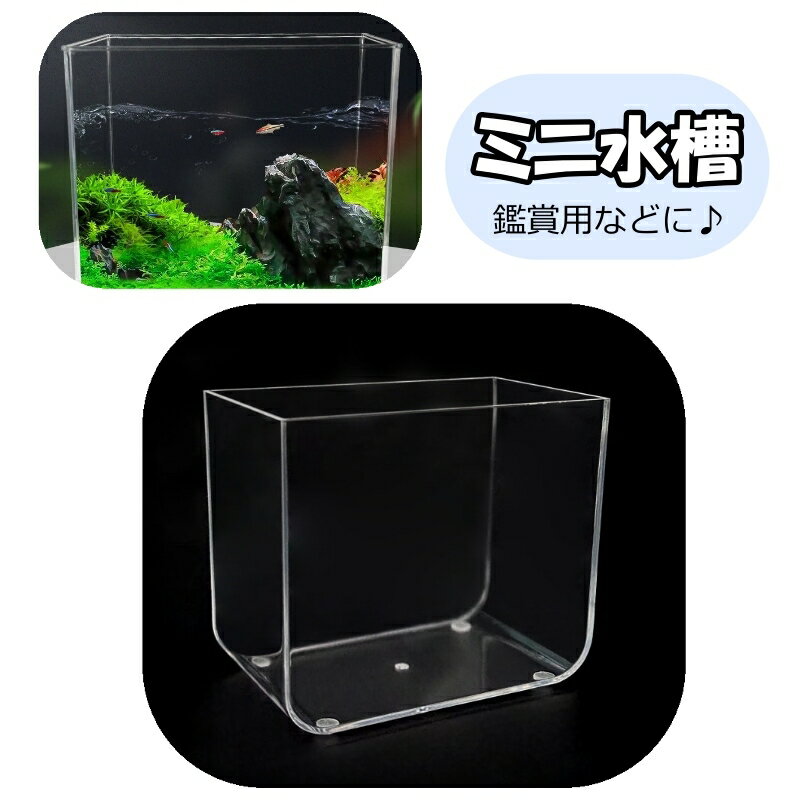 送料無料 ミニ水槽 小型 小さめ 水槽 プラスチック水槽 アクアリウム ペット用品 魚 メダカ 金魚 ...