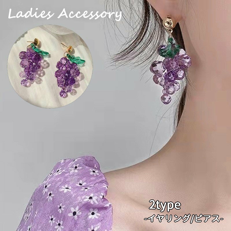 ̵ åɥԥ  ǥ  ꡼ եå󻨲 ӡ ֥ɥ ʪ ե롼 ȾƩ ѡץ 襤 塼 ...