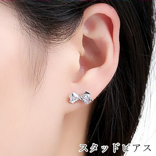 ̵ åɥԥ ǥ  ꡼ եå󻨲 ܥ   饤󥹥ȡ С顼 ץ 奢 ...