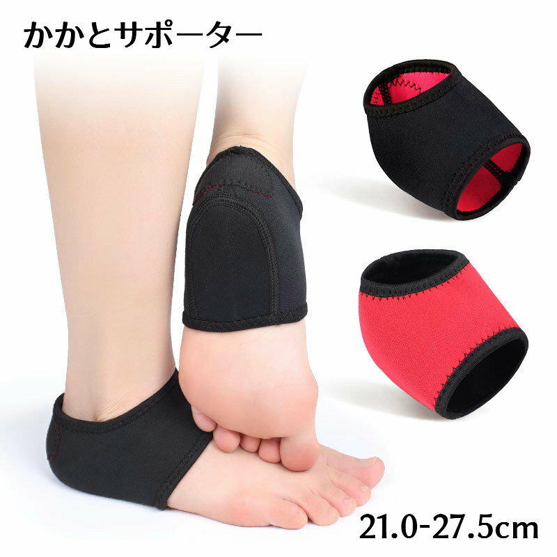 ̵ ȥݡ ҡץƥ ȥѥå եåȥץƥ ȥС ȥѥå ξ­å   ǥ ­΢ݸ ...