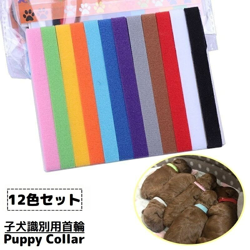 樂天商城 - 送料無料 パピーカラー パピーマーカー 12色セット 識別用首輪 子犬 子猫 小型犬 ペット用品 両面ファスナー式 着脱簡単 長さ調節可能