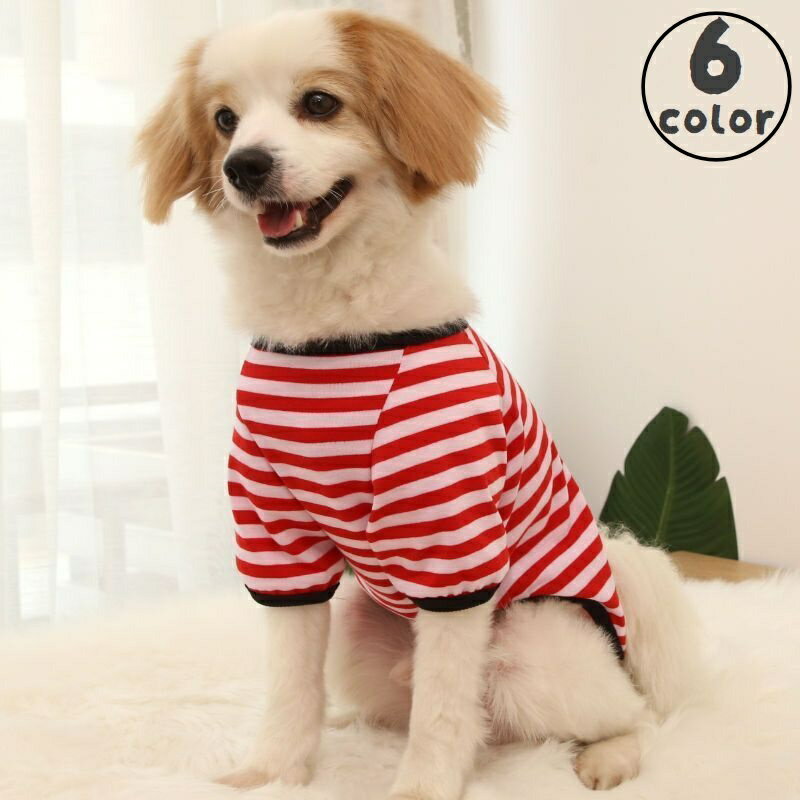 送料無料 ペットウェア ドッグウェア カットソー 犬服 猫服 小型犬 中型犬 半袖 薄手 ボーダー おしゃれ かわいい カジュアル カラフル