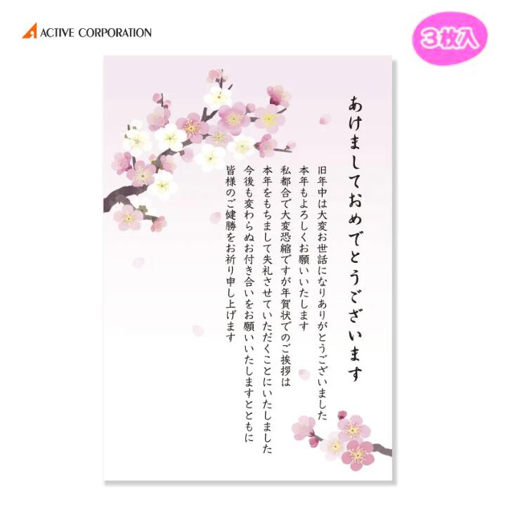 【3枚入】 年賀状じまいはがき 梅 年賀締め 年賀納め 年賀状終わり 締め 今年いっぱい 終了 年始 ご挨..