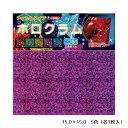 ホログラム 両面カラー フィルム キラキラ 派手 おりがみ 折り紙 七夕 クリスマス 誕生日 記念日 お祝い【15.0×15.0/5色/各1枚】クラサワ P0049