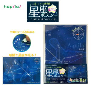 星座ポスター 暗闇で光る蓄光シール付き A3サイズ こと座/わし座/はくちょう座 天体観測 宇宙 星空 天文学 ハピラ KSK10