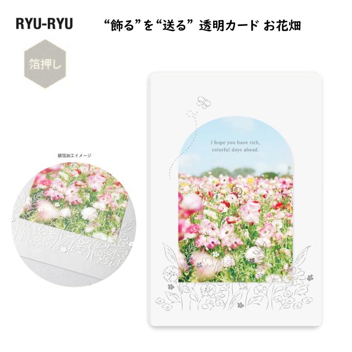 Ⱦɤ Ʃ Ȫ  ʪ ù ꥢǺ ͹ǽ ե ץ쥼  Ʃ ƥꥢ  RYU-RYU T...