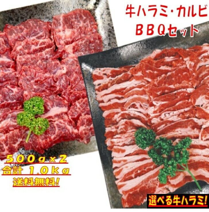 焼き肉 バーベキュー 食材 1kg BBQ 肉 焼肉セット 牛バラ 牛カルビ 牛ハラミ バーベキューセット 食材 肉 BBQ食材セット BBQ 食材 焼肉 牛丼 牛肉 送料無料 4〜6人前